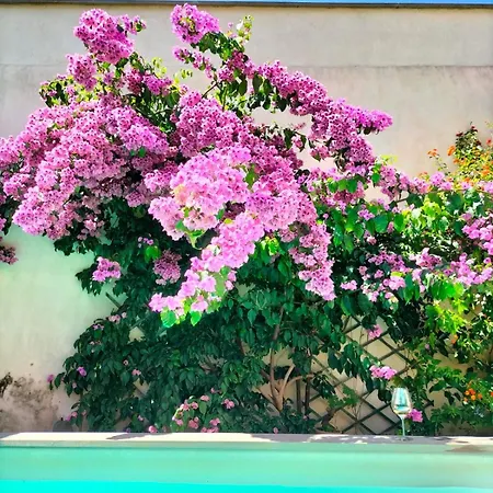 La Pomerolaise, Renove Dans Maison Typique Vigneronne Apartmán Pomérols